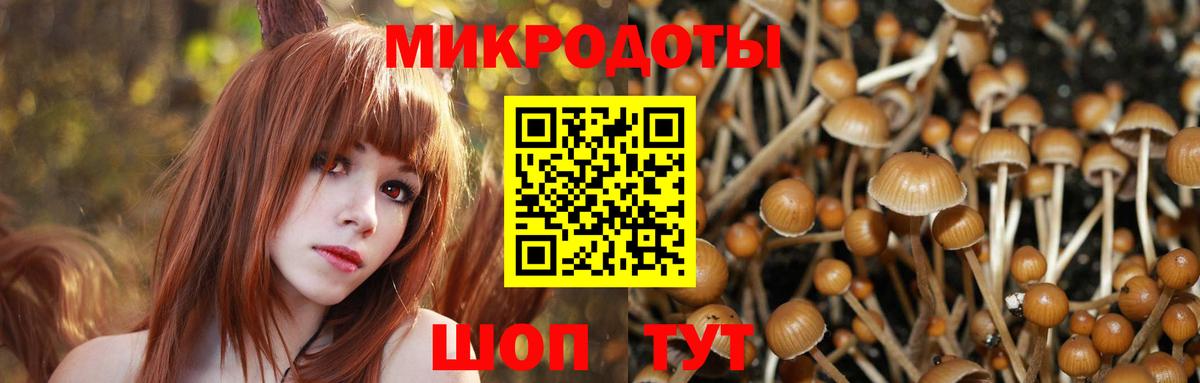 Рузаевка  Галлюциногенные грибы Psilocybe  Вход с VPN  Псилоцибиновые грибы Magic Shrooms 